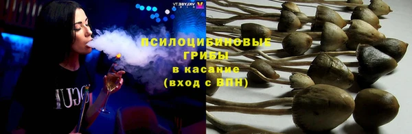 прущие крисы Алзамай