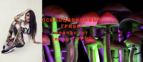 mdpv Алексин