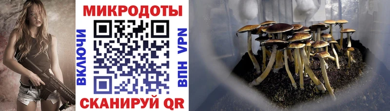 Псилоцибиновые грибы прущие грибы  MEGA ТОР  Лабинск 